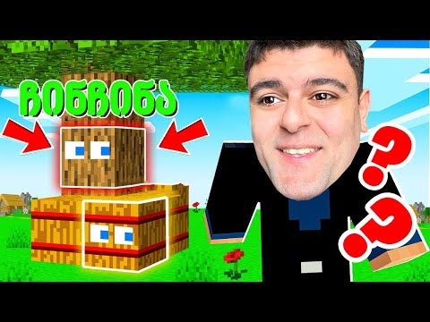 დამალე ბლოკები ჩინჩინასთან ერთად! - Minecraft